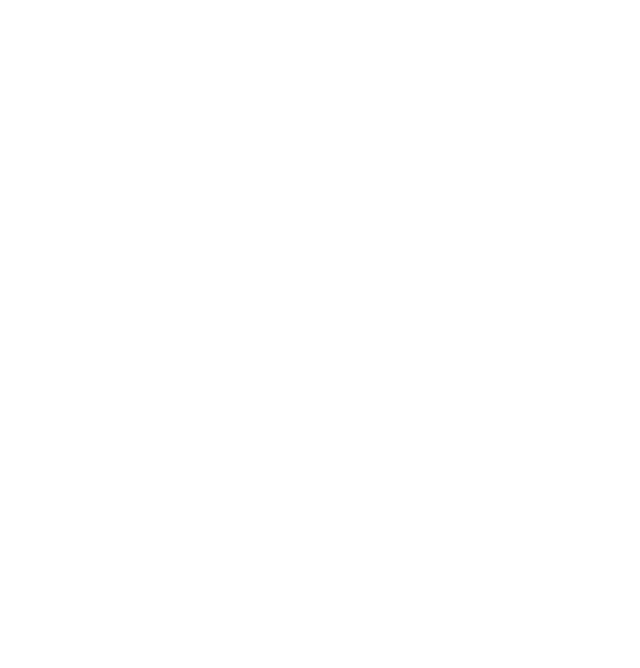 Venezia Transport logo