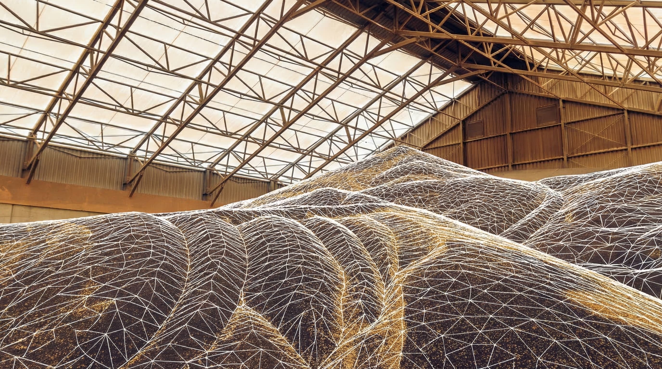 Dumper truck unloading wheat into grain store