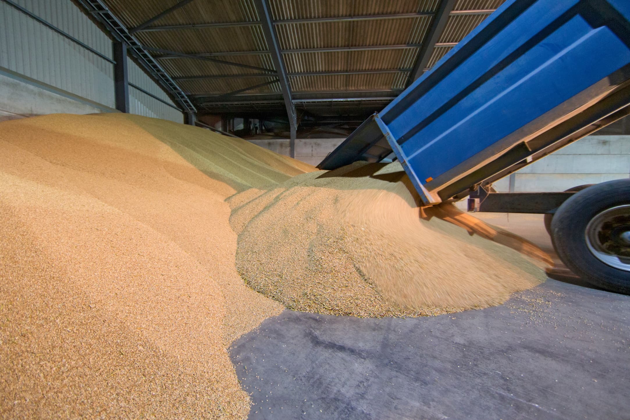 Bulk material being unloaded from a trailer at a plant receiving pit